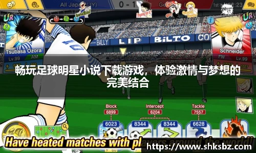畅玩足球明星小说下载游戏，体验激情与梦想的完美结合